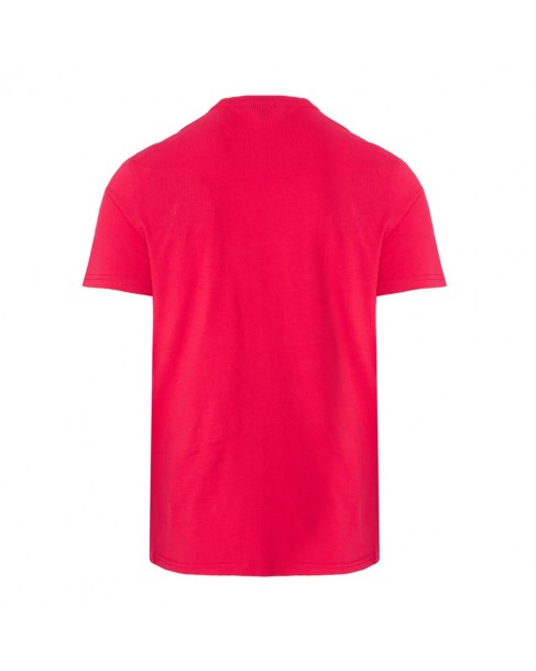 T-shirt ανδρικό Napapijri βαμβακερό Φούξια SALIS SS SUM NP0A4H8D R25-RED BARBERRY Regular fit