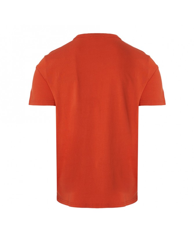 T-shirt ανδρικό Napapijri βαμβακερό Πορτοκαλί SALIS SS SUM NP0A4H8D A62-ORANGE BURNT Regular fit