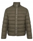 Μπουφάν Boss Λαδί P-Coler-GORETEX 50547580-245