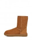 Μποτάκι UGG  Ταμπά  Classic short boot 1016223 00KD-CHE_CHESTNUT